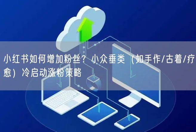 小红书如何增加粉丝？小众垂类（如手作/古着/疗愈）冷启动涨粉策略