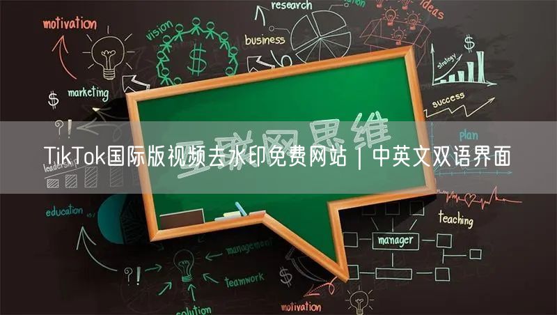 TikTok国际版视频去水印免费网站｜中英文双语界面