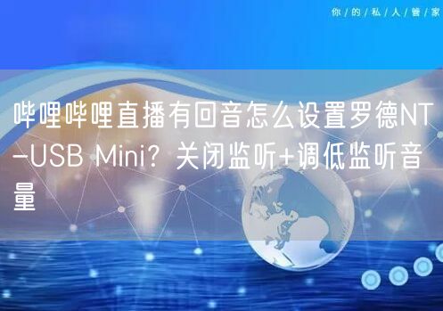 哔哩哔哩直播有回音怎么设置罗德NT-USB Mini？关闭监听+调低监听音量