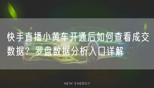快手直播小黄车开通后如何查看成交数据？罗盘数据分析入口详解