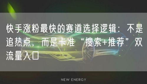 快手涨粉最快的赛道选择逻辑：不是追热点，而是卡准“搜索+推荐”双流量入口