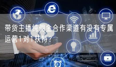 带货主播纯佣金合作渠道有没有专属运营1对1扶持？